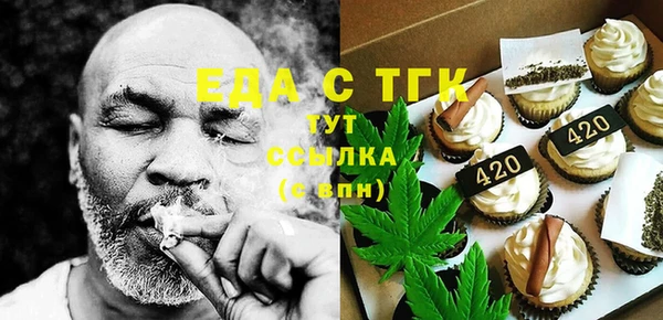 индика Вяземский